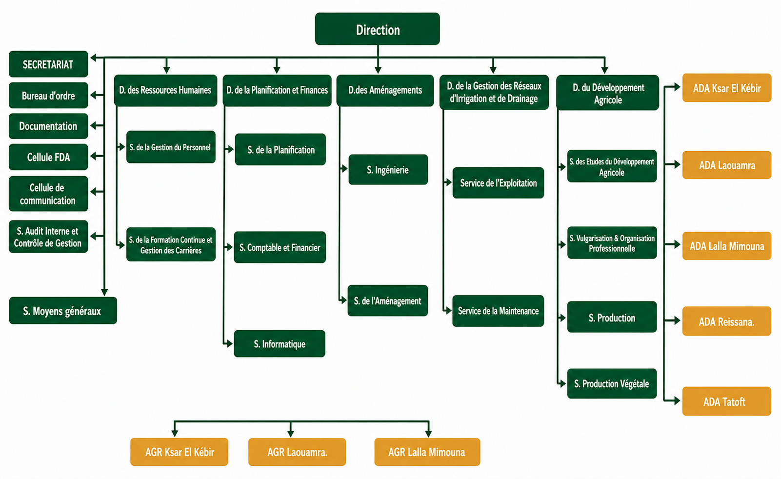 Organigramme de l'Office Régional de Mise en Valeur Agricole du Loukkos