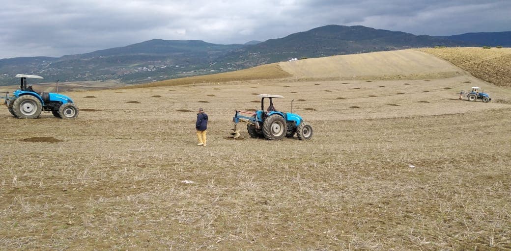 Aménagement et préparation des terres dédiées aux plantations arboricoles