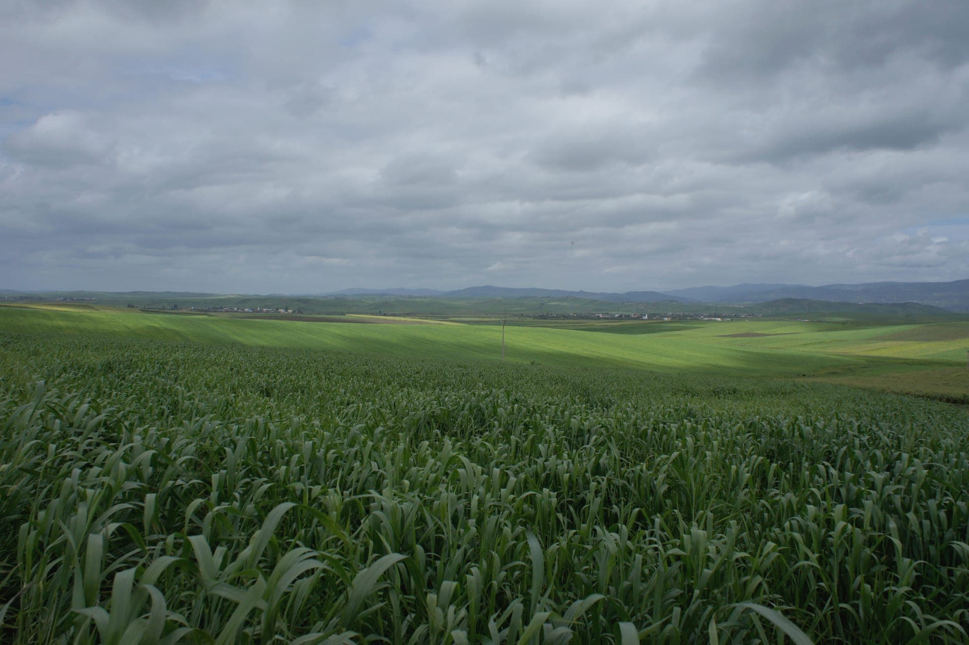 Étendues agricoles des Basses Collines