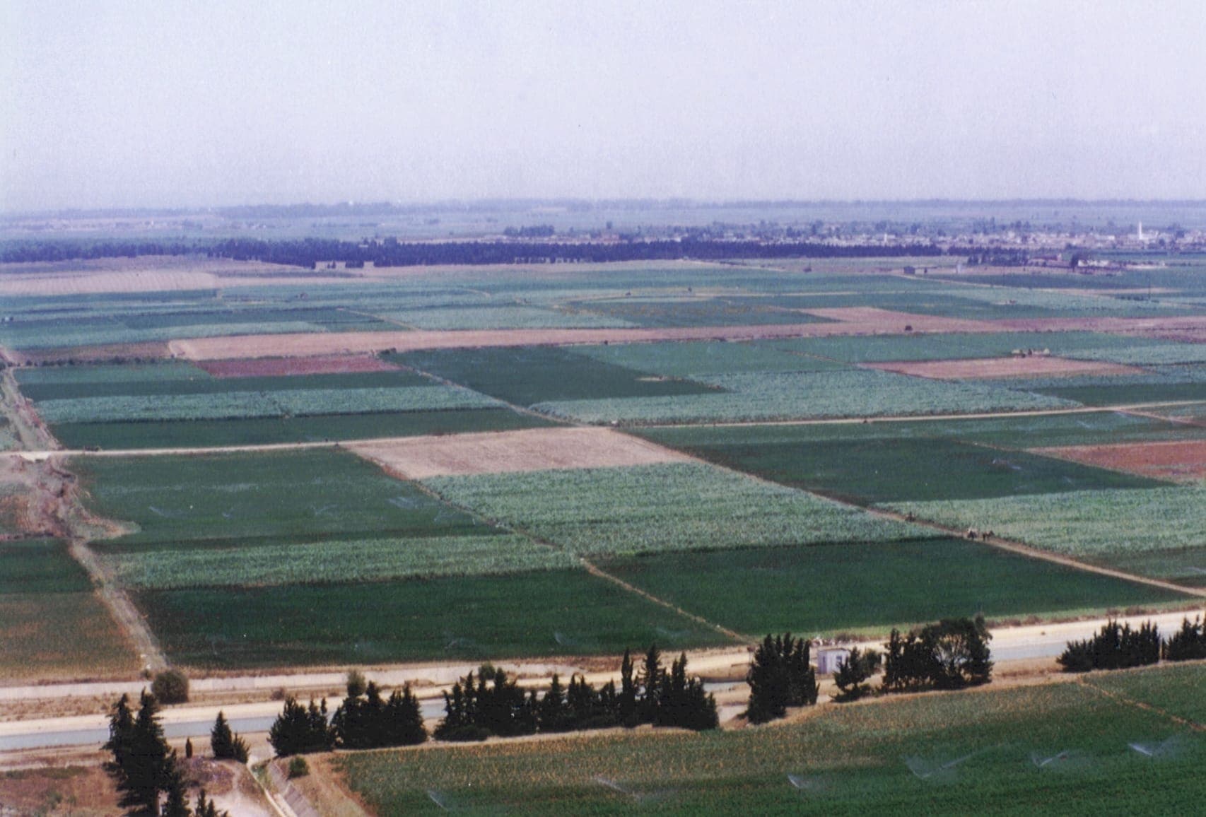 Vue panoramique sur le périmètre agricole de R’mel