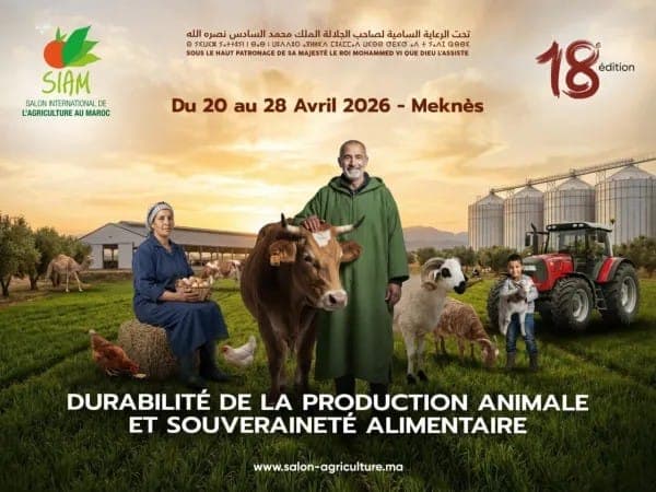 18e édition du Salon International de l’Agriculture au Maroc : l’agriculture du Loukkos au cœur de la dynamique nationale
