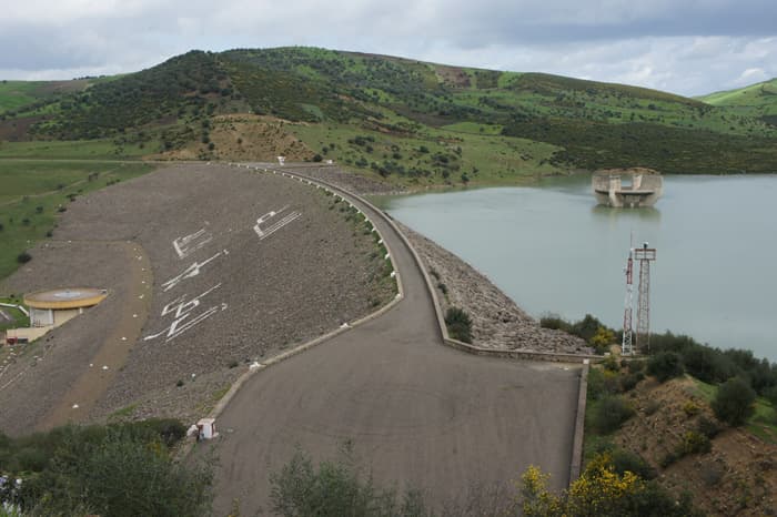 Installation d'irrigation localisée en goutte-à-goutte dans une parcelle