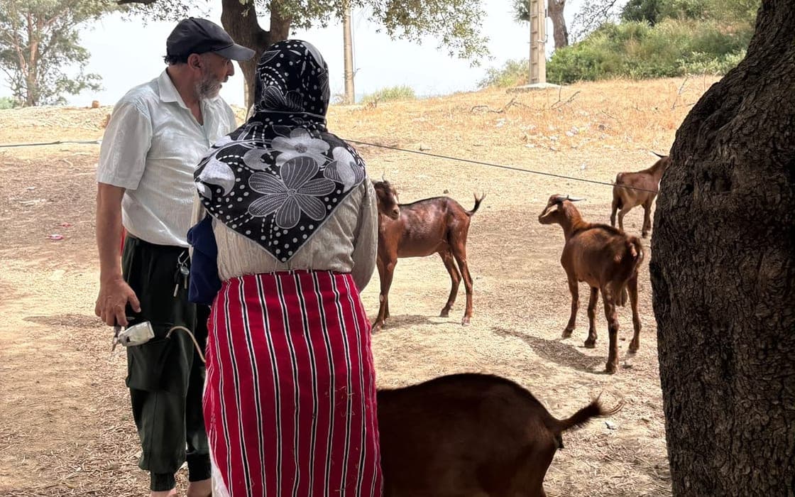Un programme intégré d'accompagnement des femmes rurales et de renforcement de leurs capacités en élevage — 1