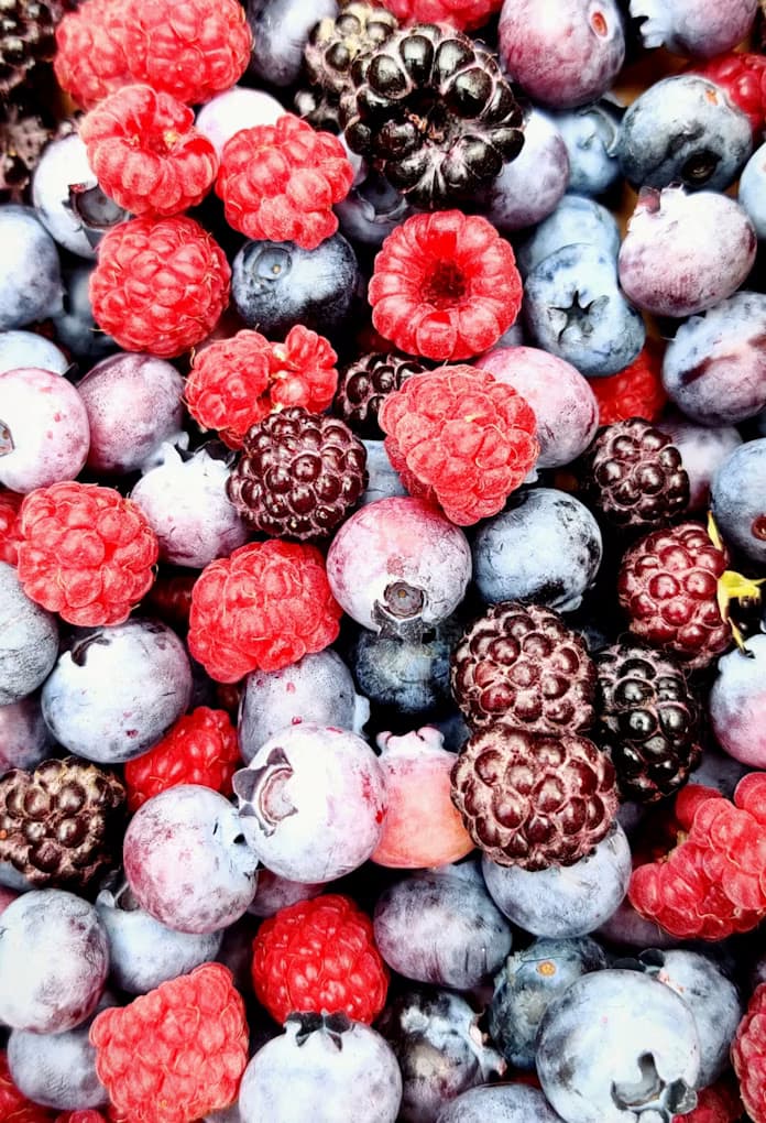 L’ORMVAL au cœur de la 5ᵉ édition du Salon international des petits fruits rouges à Larache