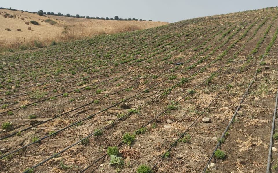 Diagnostic de terrain au service d'une maintenance préventive et de la pérennité des infrastructures hydro-agricoles — 2